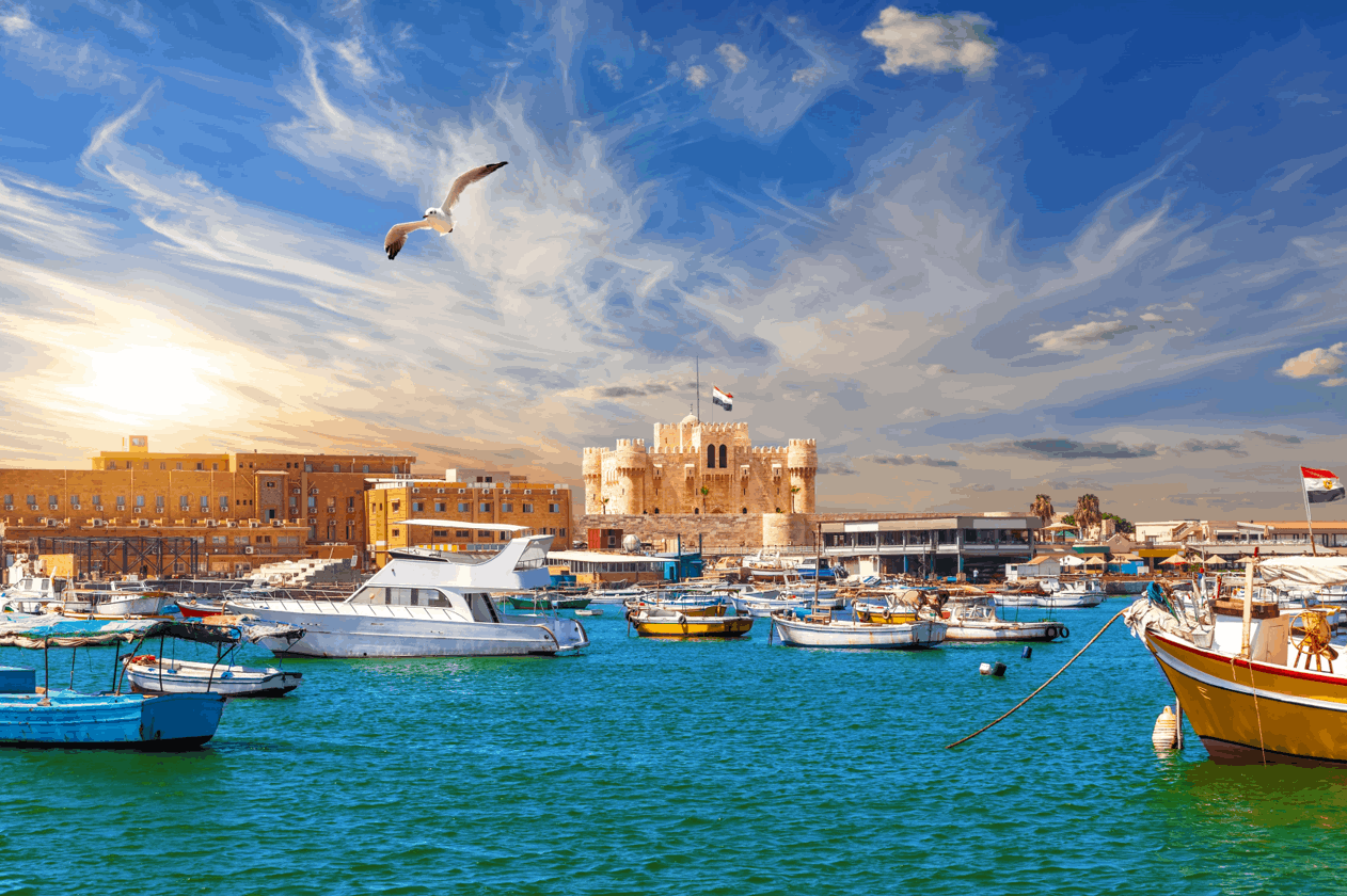 Life in Alexandria